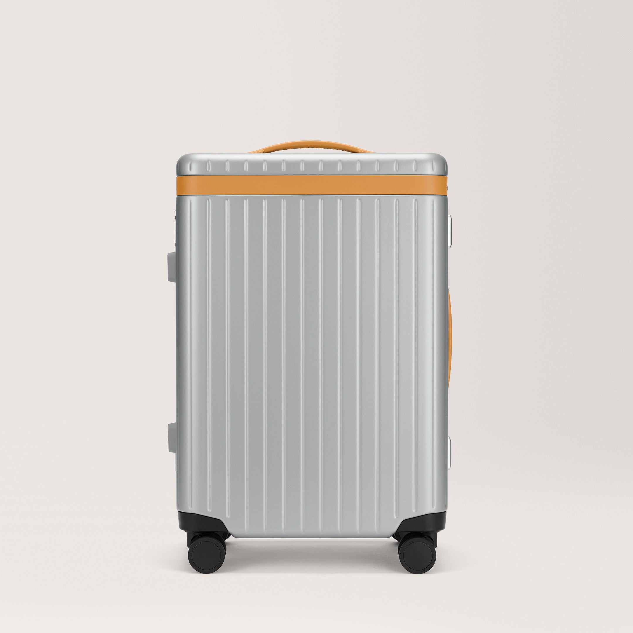 The Large Carry-on Silver / Tan 