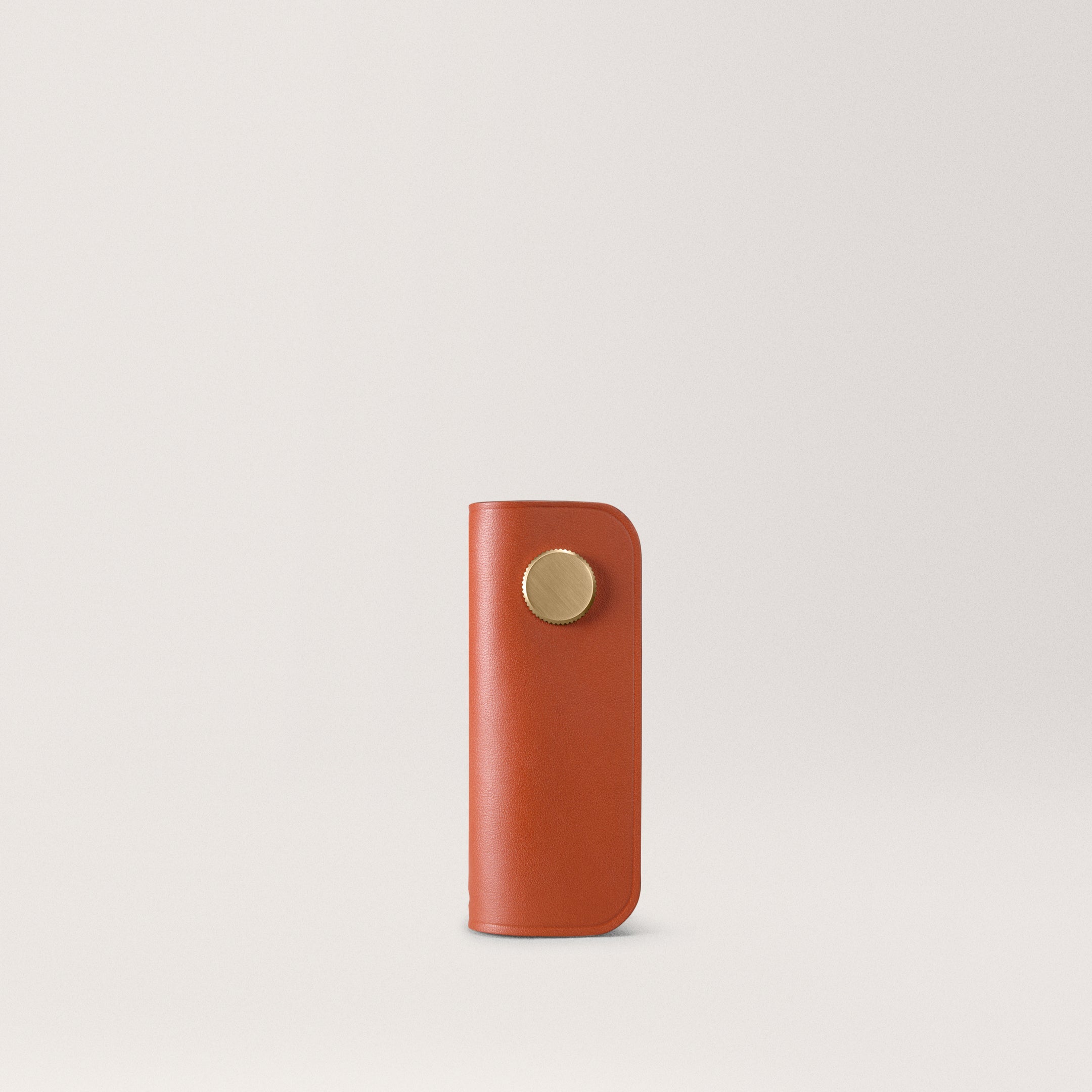 The Key Organiser Cognac Solid brass finish